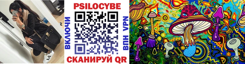 Псилоцибиновые грибы Psilocybe  цены   МЕГА вход  Жуковский 